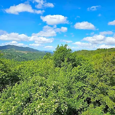 Rural Casa Migio فندق