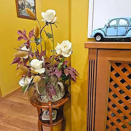 Rural Casa Migio فندق